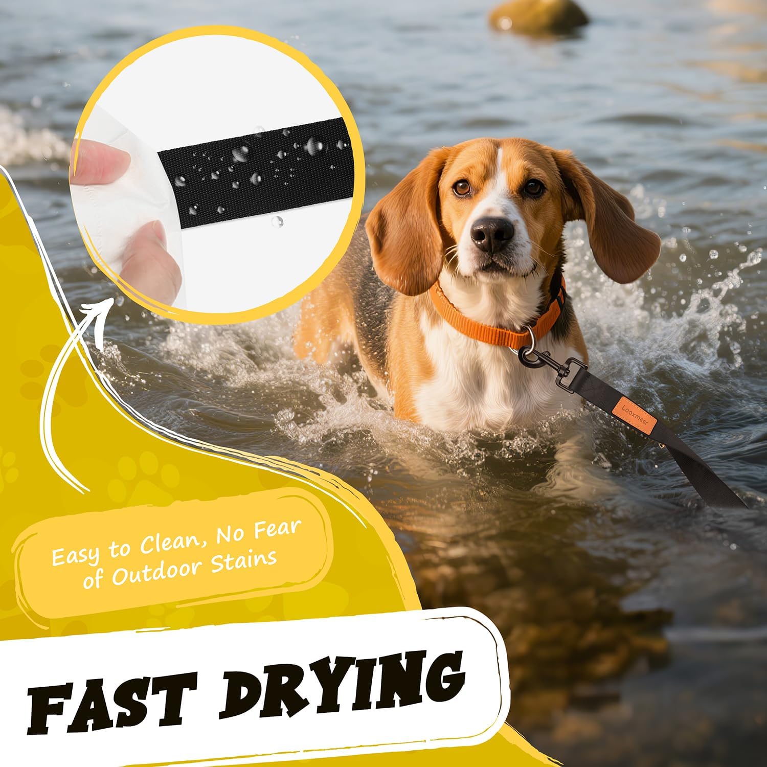 Schleppleine Für Hunde, Stabile Trainingsleine Mit Karabiner